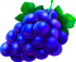 Juicy-purple-cluster